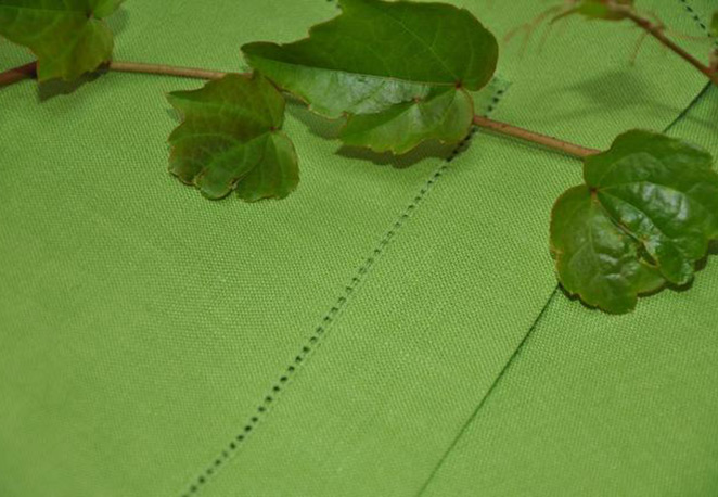 Obrus apple green z mereżką.jpg