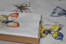 Motyle obrus off white.jpg